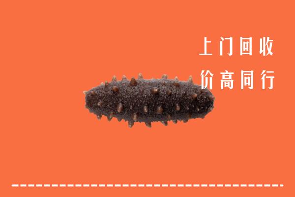 高价求购：扬州回收海参